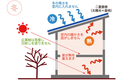 冬の太陽光を室内に取り込み、お部屋をぽかぽかに